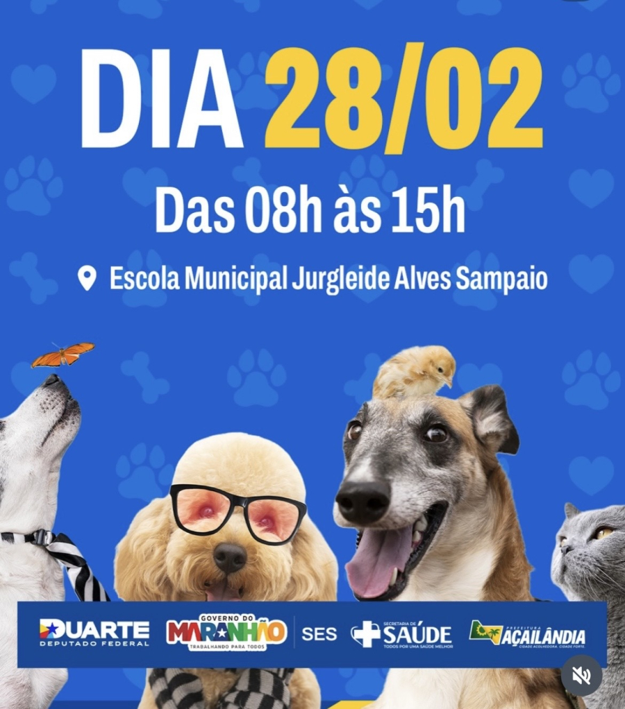 Açailândia recebe ação “Cuidar de Todos – Saúde Animal” com vacinação e serviços gratuitos para pets neste sábado