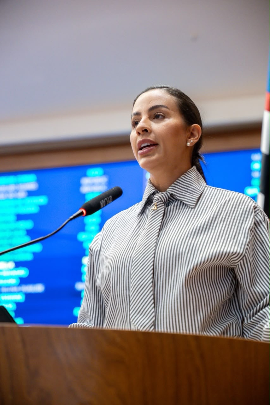 Daniella retorna ao Parlamento cobrando retomada das obras da Avenida Pirajá, em Caxias